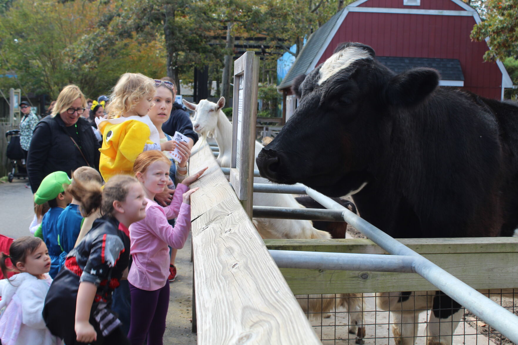 Boo at the Zoo_6643.JPG